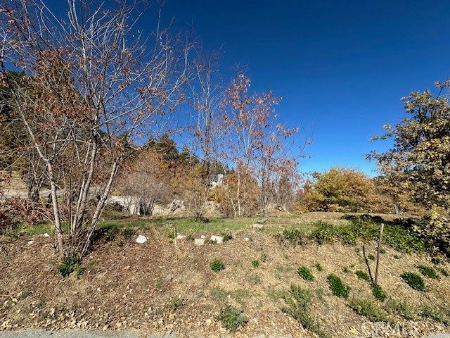 2379 Chicago Drive, Running Springs, CA 92382