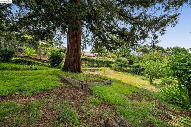 1120 Warfield Ave, Piedmont, CA 94610