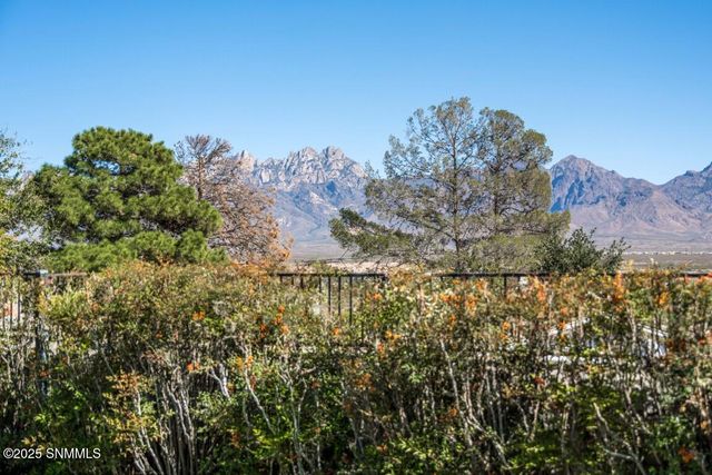 1741 Salinas Drive, Las Cruces, NM 88011