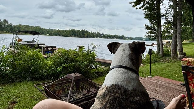 221 Lyman Lake Road, Lyman, SC 29365