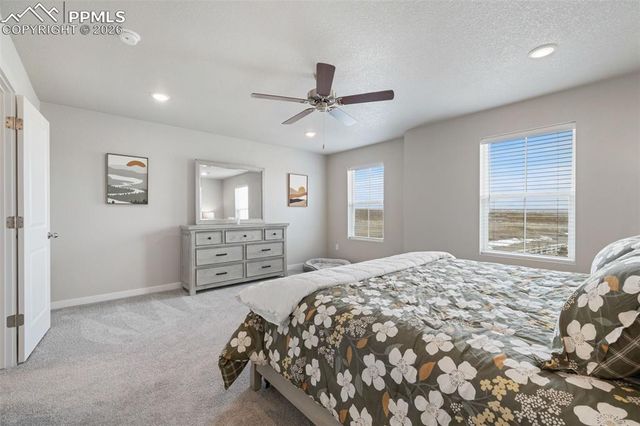 5105 Beartrack Point, Colorado Springs, CO 80925