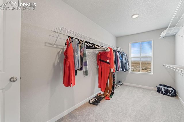 5105 Beartrack Point, Colorado Springs, CO 80925