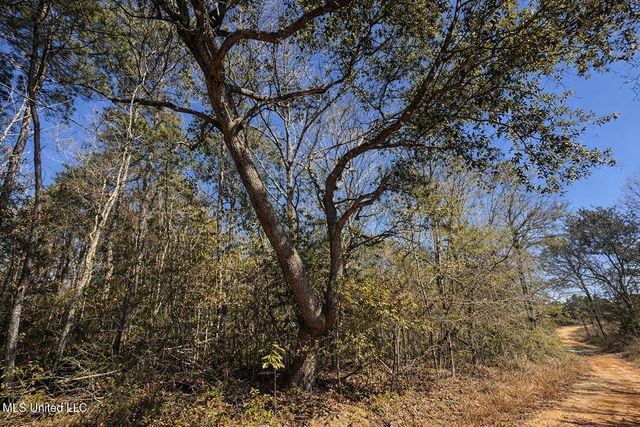 3 Standard Cemetery Road, Kiln, MS 39556