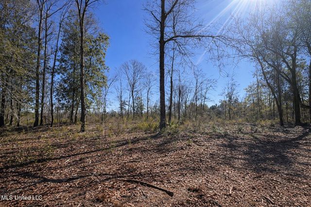 3 Standard Cemetery Road, Kiln, MS 39556