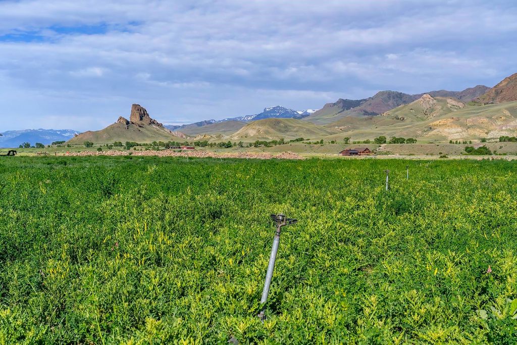 6 Whitney Dr, Cody, WY 82414 photo 41