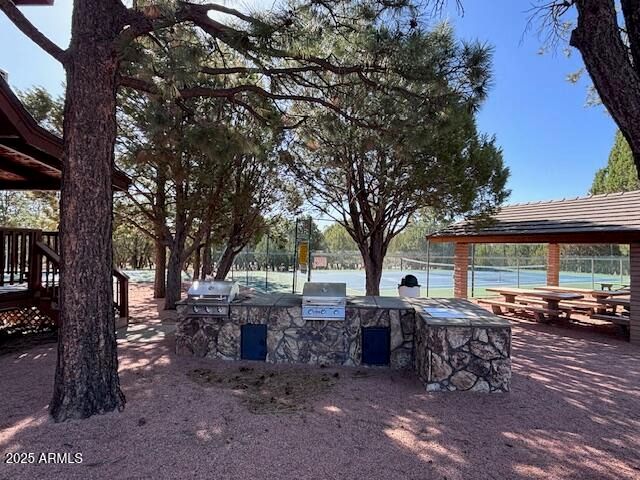 2806 SKYHAWK Drive, Overgaard, AZ 85933