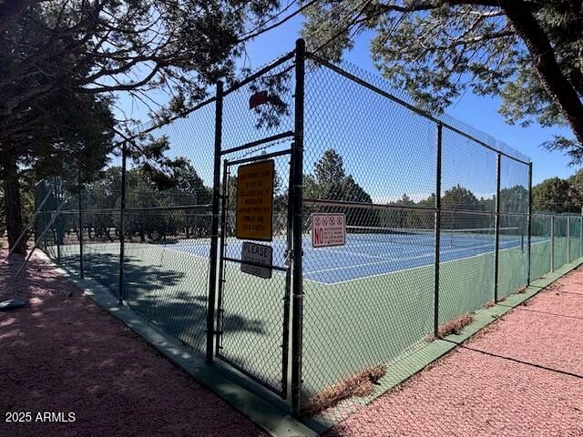 2806 SKYHAWK Drive, Overgaard, AZ 85933