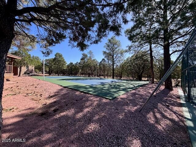 2806 SKYHAWK Drive, Overgaard, AZ 85933