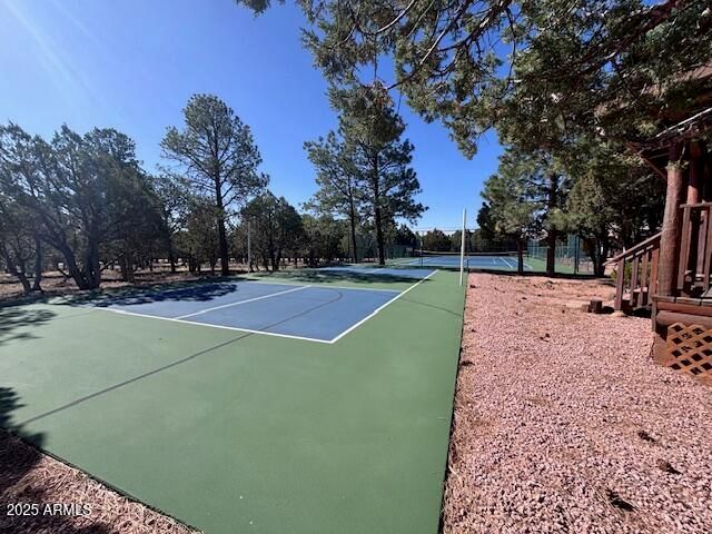 2806 SKYHAWK Drive, Overgaard, AZ 85933