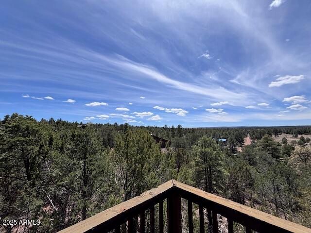 2806 SKYHAWK Drive, Overgaard, AZ 85933