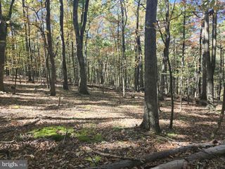 MILL MOUNTAIN ROAD, Romney, WV 26757