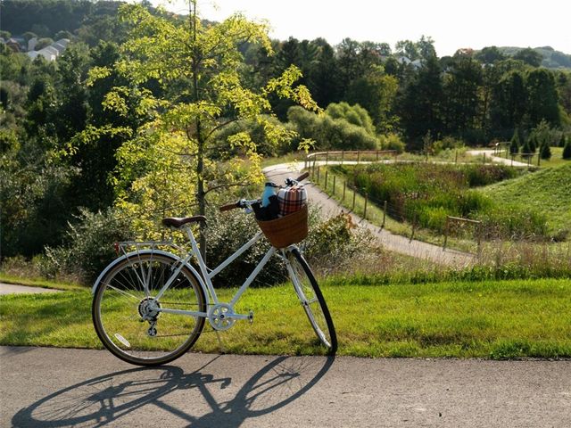 531 McCormick Street, Cranberry Twp, PA 16066