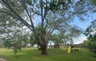 8925 Spruce Street, Hitchcock, TX 77563