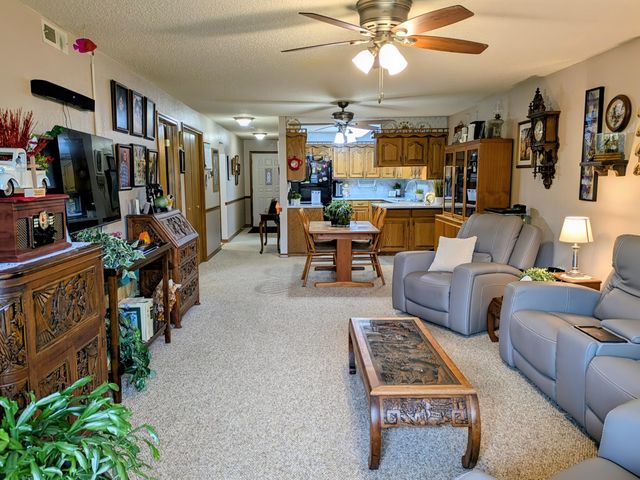 150 Sunken Forest Dr. 8-210, Forsyth, MO 65653
