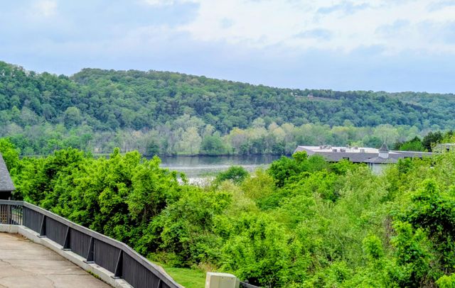150 Sunken Forest Dr. 8-210, Forsyth, MO 65653