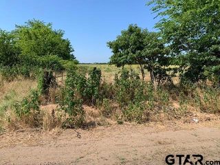 000 CR 152 (Lot 1), Bullard, TX 75757