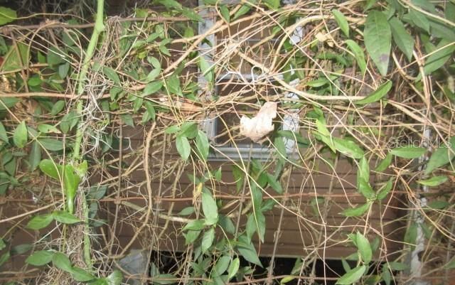 814 NW 2ND STREET, Ocala, FL 34475