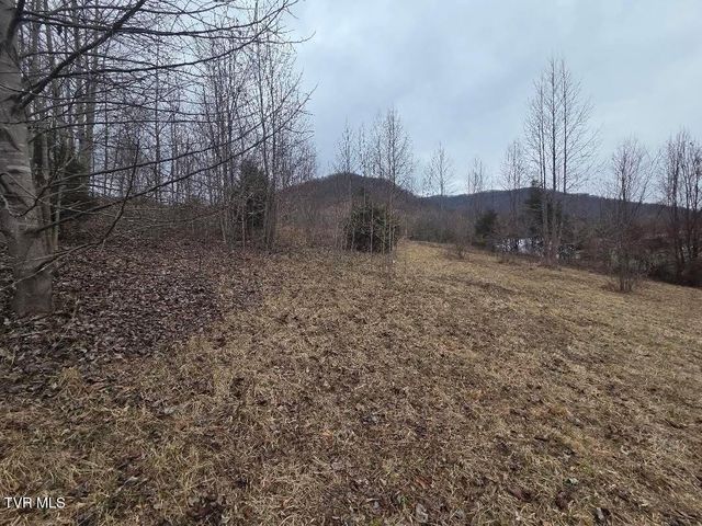 Tbd Lot 4 Sunny Lane, Unicoi, TN 37692