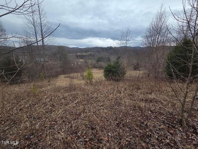 Tbd Lot 4 Sunny Lane, Unicoi, TN 37692