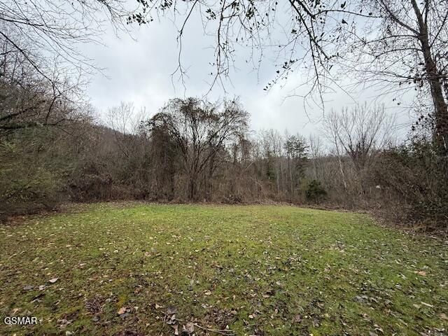 3059 Bogard Road, Cosby, TN 37722