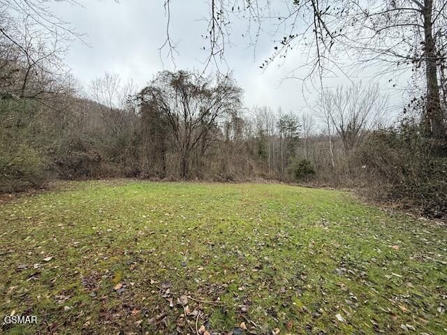 3059 Bogard Road, Cosby, TN 37722