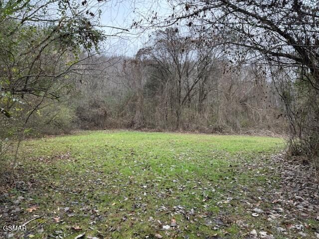 3059 Bogard Road, Cosby, TN 37722