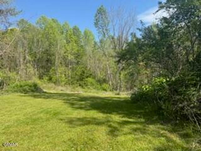 3059 Bogard Road, Cosby, TN 37722