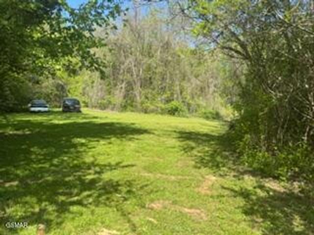 3059 Bogard Road, Cosby, TN 37722