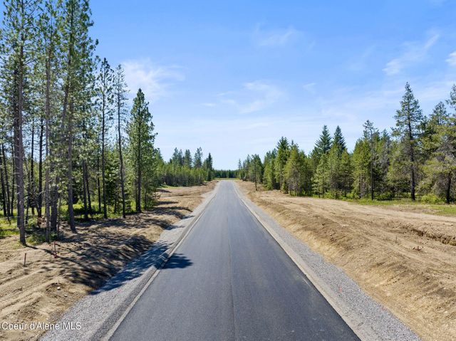 4 Ellington Ct, Athol, ID 83801