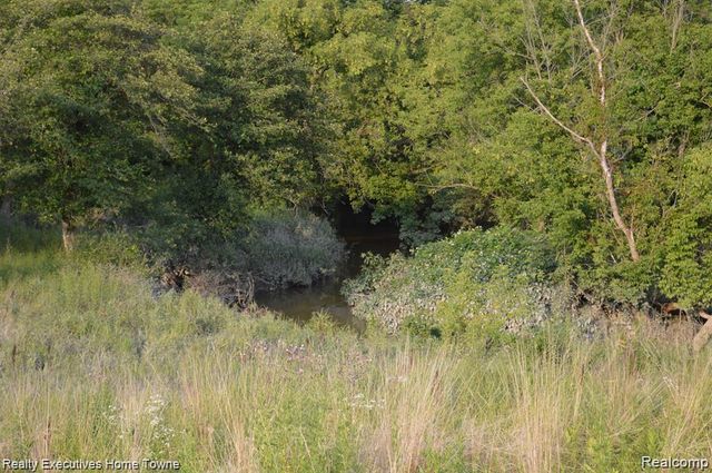 54620 Washington, Chesterfield, MI 48047