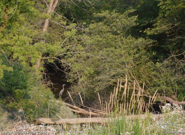 54620 Washington, Chesterfield, MI 48047