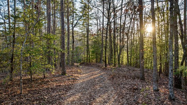 178 Arp Road, Mineral Bluff, GA 30559
