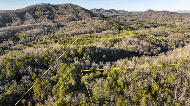 178 Arp Road, Mineral Bluff, GA 30559