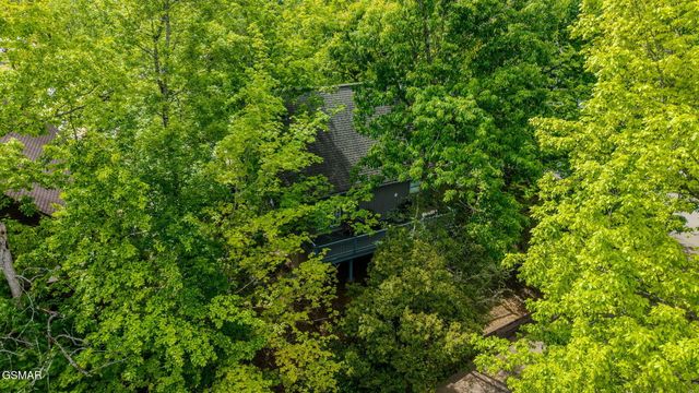 351 Woodridge Way, Pigeon Forge, TN 37863