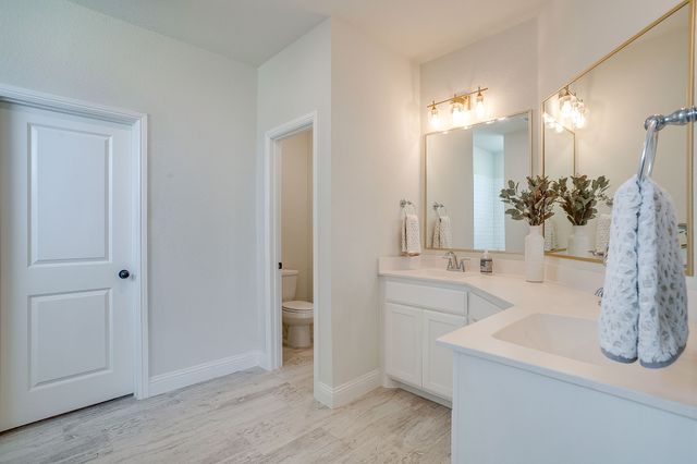 11709 Sand Cat Court, Godley, TX 76044