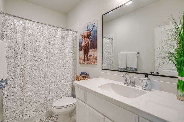 11709 Sand Cat Court, Godley, TX 76044