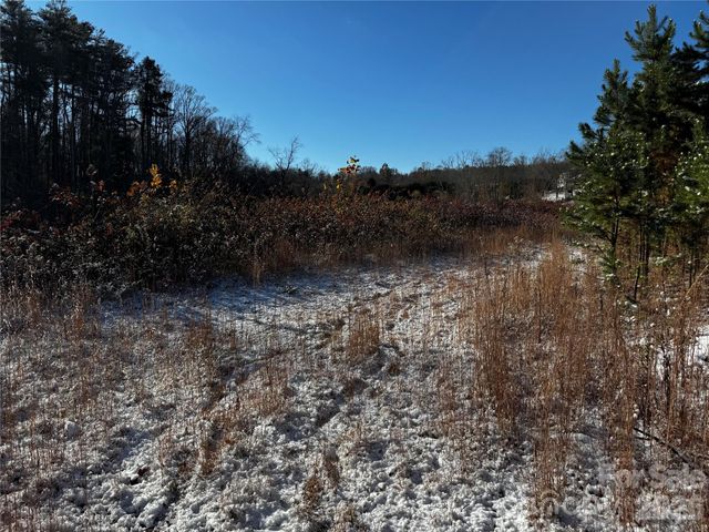 38 Flourish Farm Lane, Asheville, NC 28806