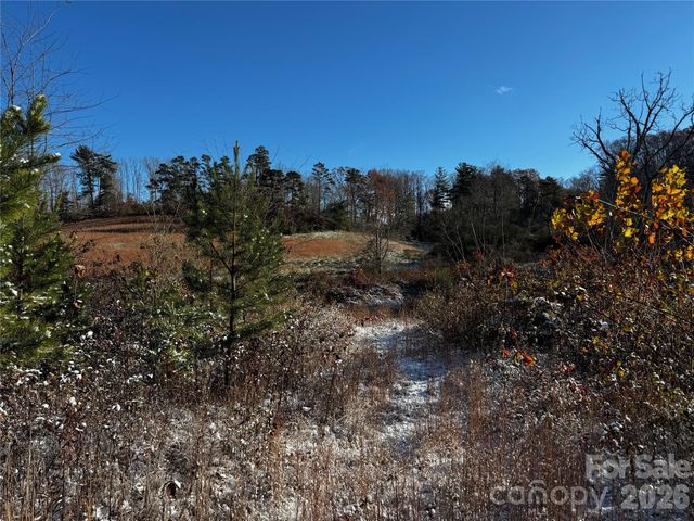 38 Flourish Farm Lane, Asheville, NC 28806