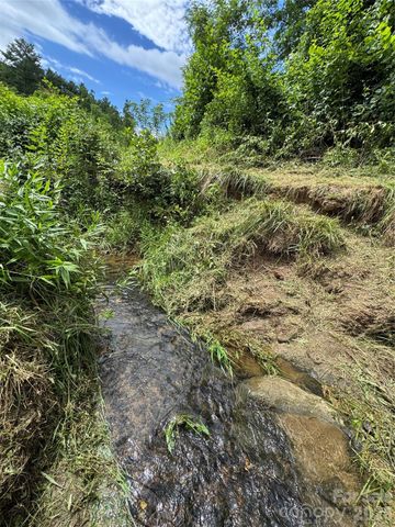 38 Flourish Farm Lane, Asheville, NC 28806