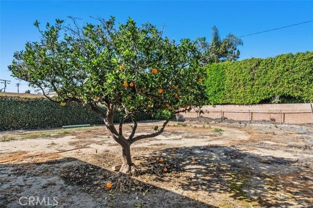 11117 Greenlawn, Culver City, CA 90230