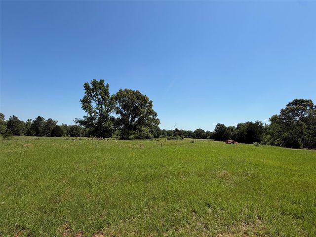 TBD Highway 75 South, Buffalo, TX 75831