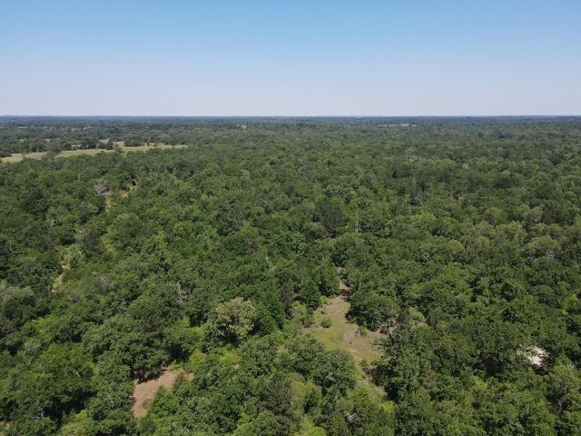 TBD Highway 75 South, Buffalo, TX 75831