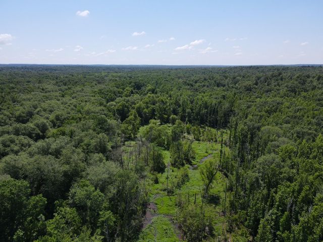TBD Highway 75 South, Buffalo, TX 75831