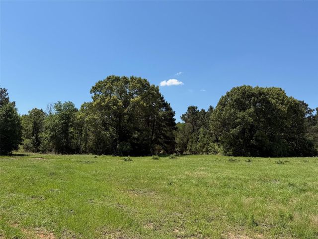 TBD Highway 75 South, Buffalo, TX 75831