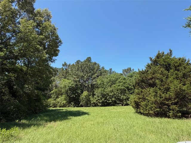 TBD Highway 75 South, Buffalo, TX 75831