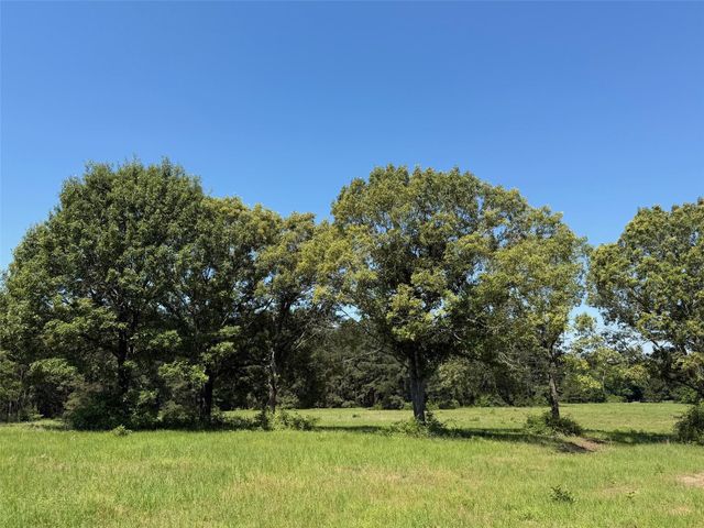 TBD Highway 75 South, Buffalo, TX 75831