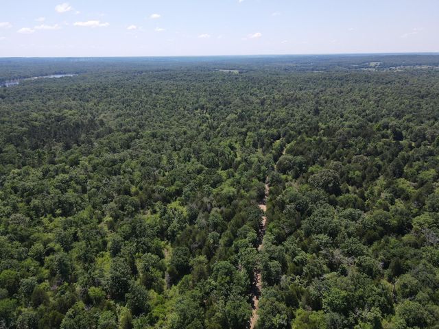 TBD Highway 75 South, Buffalo, TX 75831