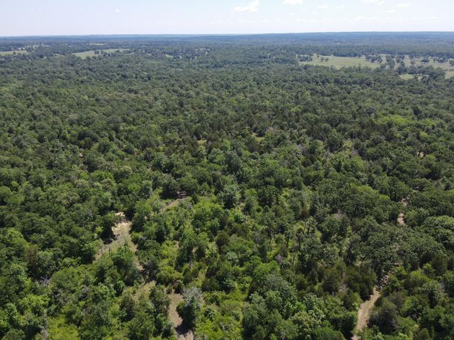 TBD Highway 75 South, Buffalo, TX 75831