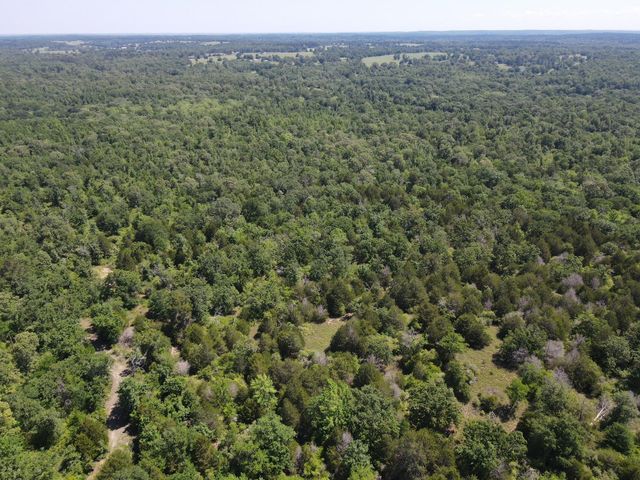 TBD Highway 75 South, Buffalo, TX 75831