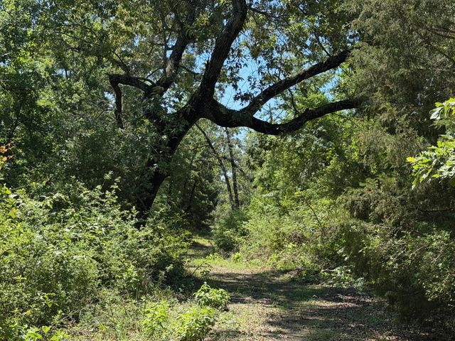 TBD Highway 75 South, Buffalo, TX 75831